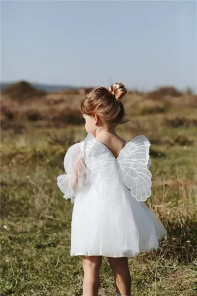 /resimler/cacheweb/urunler/2-5_yas_kanatli_kiz_cocuk_elbise_uzun_kol_model_beyaz1_173032.webp?v=639056488716565104