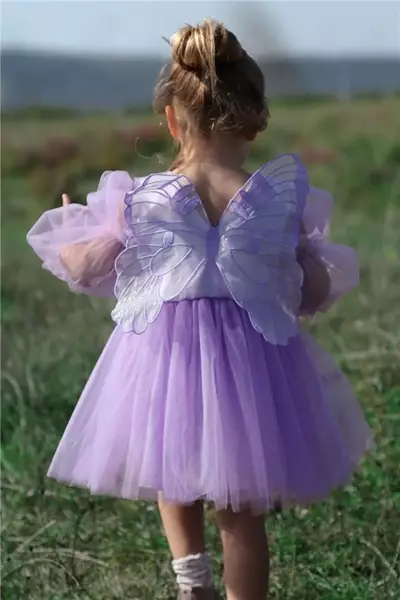 /resimler/cacheweb/urunler/2-5_yas_kanatli_kiz_cocuk_elbise_uzun_kol_model_lila1_173035.webp?v=639056491713561490