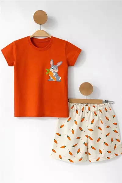 /resimler/cacheweb/urunler/3-7-yas-tavsan-baskili-kiz-cocuk-takim-turuncu1_179955.webp?v=639120443629642021