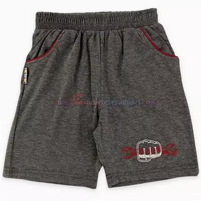 /resimler/cacheweb/urunler/8-9-10-11-12_yas_anahtar_nakisli_erkek_cocuk_sort_fume1_92153.webp?v=638187307728976153