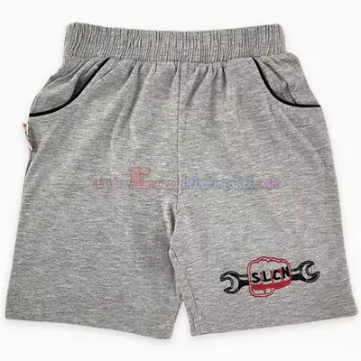 /resimler/cacheweb/urunler/8-9-10-11-12_yas_anahtar_nakisli_erkek_cocuk_sort_gri1_92155.webp?v=638187309717610625