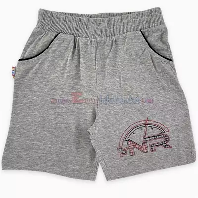 /resimler/cacheweb/urunler/8-9-10-11-12_yas_nr_nakisli_erkek_cocuk_sort_gri1_92148.webp?v=638187303546088332