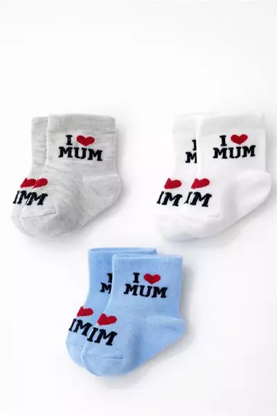 /resimler/cacheweb/urunler/icon_baby_0-3_ay_penye_bebek_corap_love_mum_mavi_gri1_174689.webp?v=639075496938211474