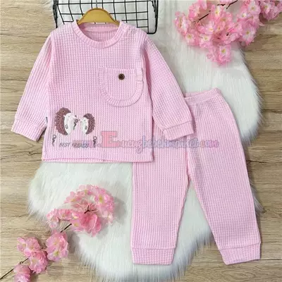 /resimler/cacheweb/urunler/nafitto_6-9-12_ay_waffle_bebek_takim_kirpi_nakisli_pembe1_145580.webp?v=638703774938769866