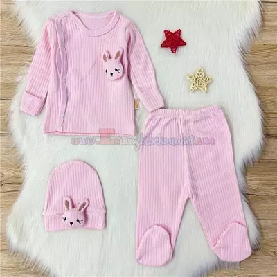 /resimler/cacheweb/urunler/nana_baby_0-3_ay_3lu_bebek_zibin_tavsan_detayli_pembe1_146605.webp?v=638719536197875484