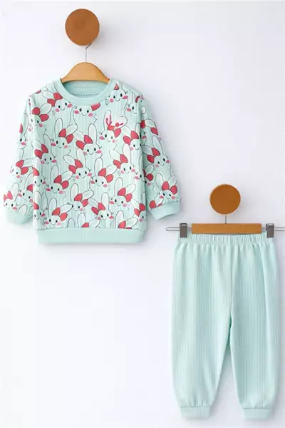 /resimler/cacheweb/urunler/nikuby-6-9-12-18-ay-tavsan-baskili-penye-bebek-takim-mint-yesili1_174962.webp?v=639080613230992516